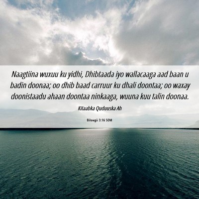 Picture 06 - Bilowgii 3:16 SOM - Naagtiina wuxuu ku yidhi, Dhibtaada iyo - Bible Verse Picture