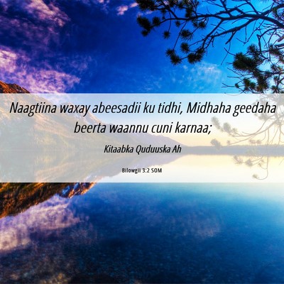 Picture 06 - Bilowgii 3:2 SOM - Naagtiina waxay abeesadii ku tidhi, Midhaha - Bible Verse Picture