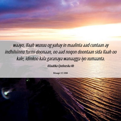 Picture 06 - Bilowgii 3:5 SOM - waayo, Ilaah wuxuu og yahay in maalinta aad - Bible Verse Picture