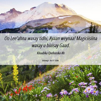 Picture 06 - Bilowgii 30:11 SOM - Oo Lee'ahna waxay tidhi, Ayaan weynaa! - Bible Verse Picture