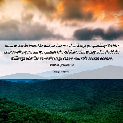Picture 06 - Bilowgii 30:15 SOM - Iyana waxay ku tidhi, Ma wax yar baa inaad - Bible Verse Picture