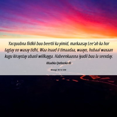 Picture 06 - Bilowgii 30:16 SOM - Yacquubna fiidkii buu beertii ka yimid, markaasay - Bible Verse Picture