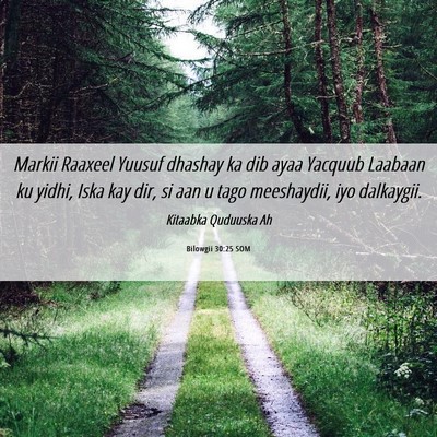 Picture 06 - Bilowgii 30:25 SOM - Markii Raaxeel Yuusuf dhashay ka dib ayaa Yacquub - Bible Verse Picture