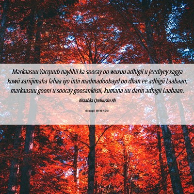 Picture 06 - Bilowgii 30:40 SOM - Markaasuu Yacquub naylihii ka soocay oo wuxuu - Bible Verse Picture