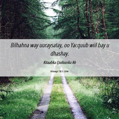 Picture 06 - Bilowgii 30:5 SOM - Bilhahna way uuraysatay, oo Yacquub wiil bay u - Bible Verse Picture