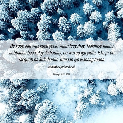 Picture 06 - Bilowgii 31:29 SOM - De xoog aan wax kugu yeelo waan leeyahay, - Bible Verse Picture