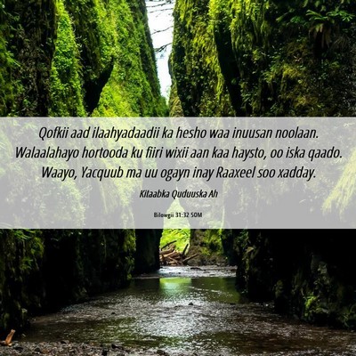 Picture 06 - Bilowgii 31:32 SOM - Qofkii aad ilaahyadaadii ka hesho waa inuusan - Bible Verse Picture