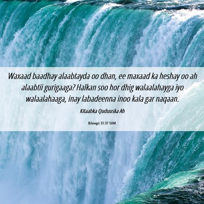 Picture 06 - Bilowgii 31:37 SOM - Waxaad baadhay alaabtayda oo dhan, ee maxaad ka - Bible Verse Picture