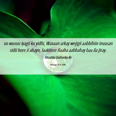 Picture 06 - Bilowgii 31:5 SOM - oo wuxuu iyagii ku yidhi, Waxaan arkay wejigii - Bible Verse Picture