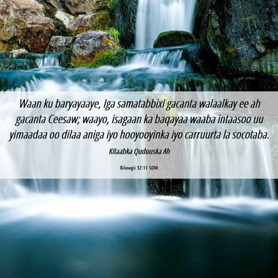 Picture 06 - Bilowgii 32:11 SOM - Waan ku baryayaaye, Iga samatabbixi gacanta - Bible Verse Picture