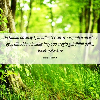 Picture 06 - Bilowgii 34:1 SOM - Oo Diinah oo ahayd gabadhii Lee'ah ay Yacquub u - Bible Verse Picture