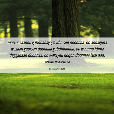 Picture 06 - Bilowgii 34:16 SOM - markaasaannu gabdhahayaga idin siin doonnaa, oo - Bible Verse Picture