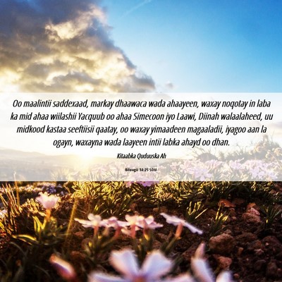 Picture 06 - Bilowgii 34:25 SOM - Oo maalintii saddexaad, markay dhaawaca wada - Bible Verse Picture