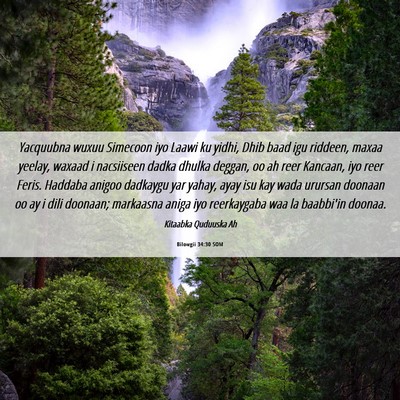 Picture 06 - Bilowgii 34:30 SOM - Yacquubna wuxuu Simecoon iyo Laawi ku yidhi, Dhib - Bible Verse Picture