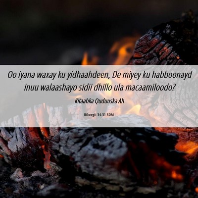 Picture 06 - Bilowgii 34:31 SOM - Oo iyana waxay ku yidhaahdeen, De miyey ku - Bible Verse Picture