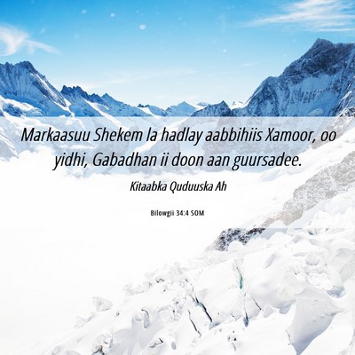 Picture 06 - Bilowgii 34:4 SOM - Markaasuu Shekem la hadlay aabbihiis Xamoor, oo - Bible Verse Picture