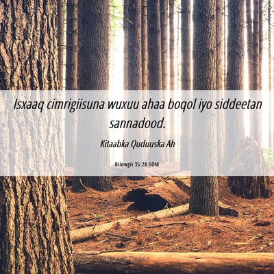 Picture 06 - Bilowgii 35:28 SOM - Isxaaq cimrigiisuna wuxuu ahaa boqol iyo - Bible Verse Picture