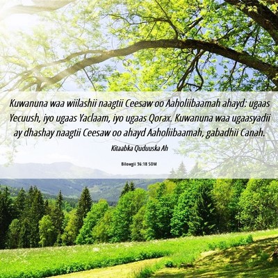 Picture 06 - Bilowgii 36:18 SOM - Kuwanuna waa wiilashii naagtii Ceesaw oo - Bible Verse Picture