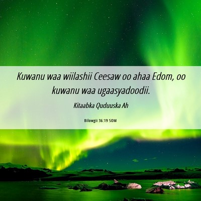 Picture 06 - Bilowgii 36:19 SOM - Kuwanu waa wiilashii Ceesaw oo ahaa Edom, oo - Bible Verse Picture