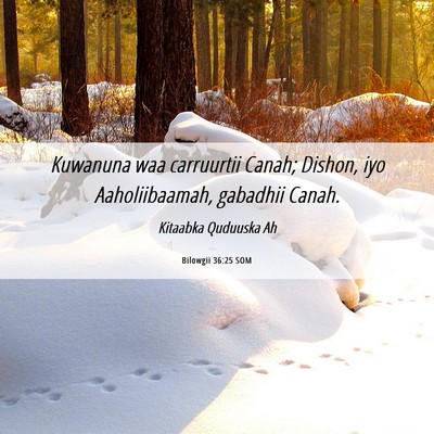 Picture 06 - Bilowgii 36:25 SOM - Kuwanuna waa carruurtii Canah; Dishon, iyo - Bible Verse Picture