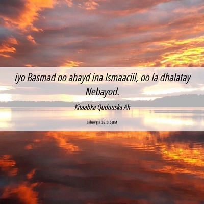 Picture 06 - Bilowgii 36:3 SOM - iyo Basmad oo ahayd ina Ismaaciil, oo la dhalatay - Bible Verse Picture