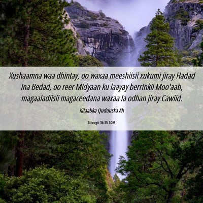 Picture 06 - Bilowgii 36:35 SOM - Xushaamna waa dhintay, oo waxaa meeshiisii xukumi - Bible Verse Picture