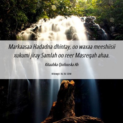 Picture 06 - Bilowgii 36:36 SOM - Markaasaa Hadadna dhintay, oo waxaa meeshiisii - Bible Verse Picture