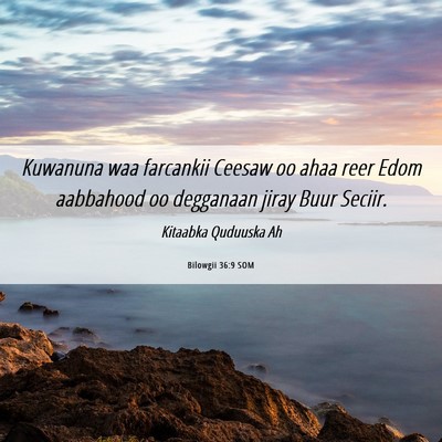 Picture 06 - Bilowgii 36:9 SOM - Kuwanuna waa farcankii Ceesaw oo ahaa reer Edom - Bible Verse Picture