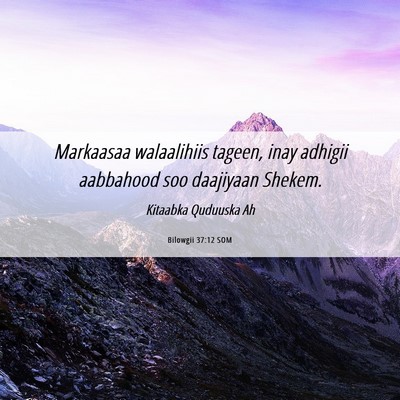 Picture 06 - Bilowgii 37:12 SOM - Markaasaa walaalihiis tageen, inay adhigii - Bible Verse Picture
