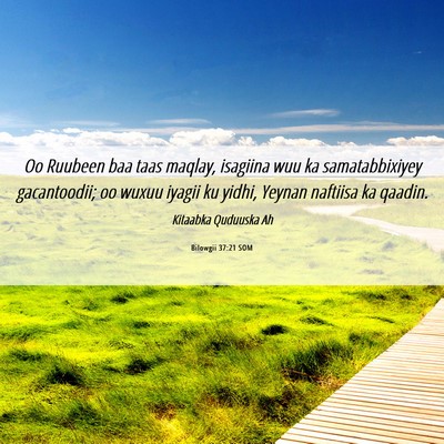 Picture 06 - Bilowgii 37:21 SOM - Oo Ruubeen baa taas maqlay, isagiina wuu ka - Bible Verse Picture