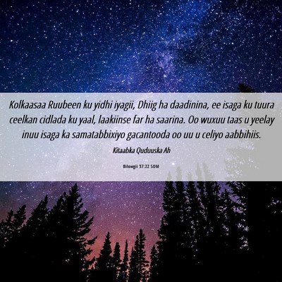 Picture 06 - Bilowgii 37:22 SOM - Kolkaasaa Ruubeen ku yidhi iyagii, Dhiig ha - Bible Verse Picture