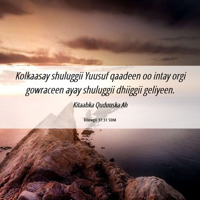 Picture 06 - Bilowgii 37:31 SOM - Kolkaasay shuluggii Yuusuf qaadeen oo intay orgi - Bible Verse Picture