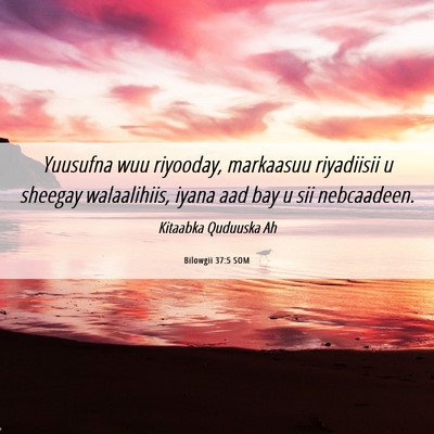 Picture 06 - Bilowgii 37:5 SOM - Yuusufna wuu riyooday, markaasuu riyadiisii u - Bible Verse Picture