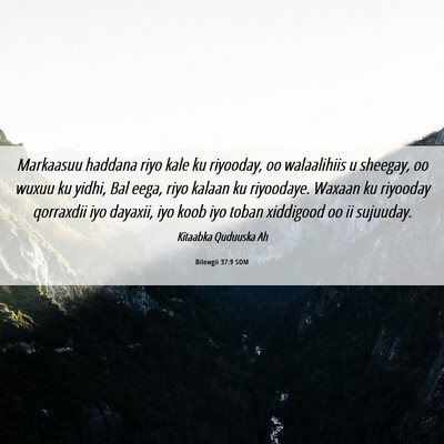 Picture 06 - Bilowgii 37:9 SOM - Markaasuu haddana riyo kale ku riyooday, oo - Bible Verse Picture