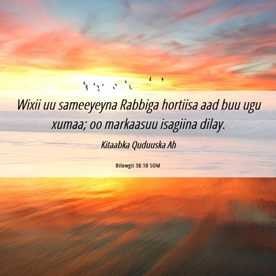 Picture 06 - Bilowgii 38:10 SOM - Wixii uu sameeyeyna Rabbiga hortiisa aad buu ugu - Bible Verse Picture