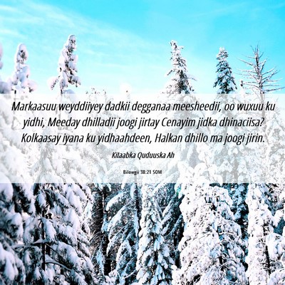 Picture 06 - Bilowgii 38:21 SOM - Markaasuu weyddiiyey dadkii degganaa meesheedii, - Bible Verse Picture
