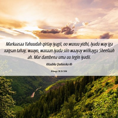 Picture 06 - Bilowgii 38:26 SOM - Markaasaa Yahuudah qirtay iyagii, oo wuxuu yidhi, - Bible Verse Picture