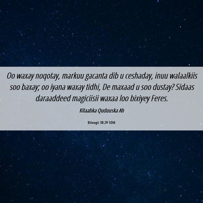 Picture 06 - Bilowgii 38:29 SOM - Oo waxay noqotay, markuu gacanta dib u ceshaday, - Bible Verse Picture