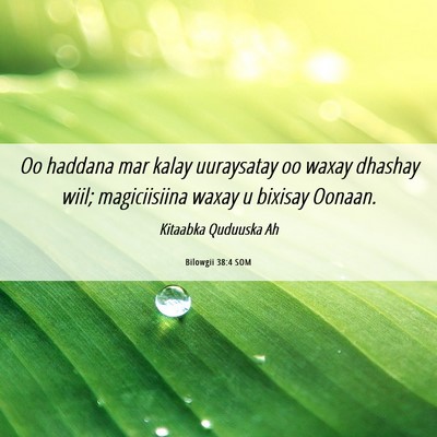 Picture 06 - Bilowgii 38:4 SOM - Oo haddana mar kalay uuraysatay oo waxay dhashay - Bible Verse Picture