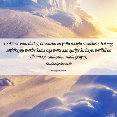 Picture 06 - Bilowgii 39:8 SOM - Laakiinse wuu diiday, oo wuxuu ku yidhi naagtii - Bible Verse Picture