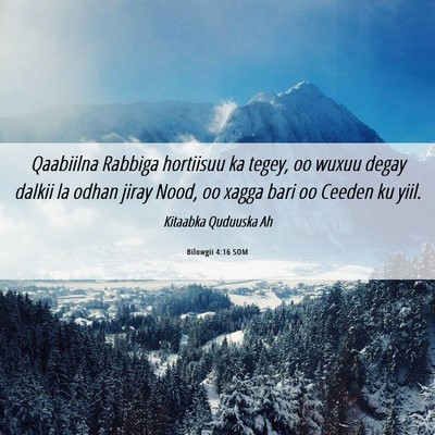 Picture 06 - Bilowgii 4:16 SOM - Qaabiilna Rabbiga hortiisuu ka tegey, oo wuxuu - Bible Verse Picture