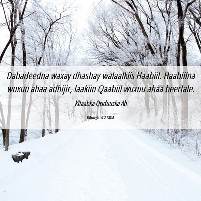 Picture 06 - Bilowgii 4:2 SOM - Dabadeedna waxay dhashay walaalkiis Haabiil. - Bible Verse Picture