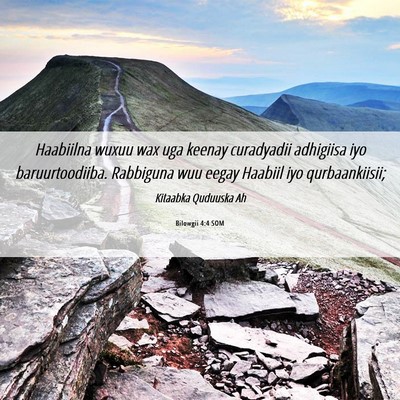Picture 06 - Bilowgii 4:4 SOM - Haabiilna wuxuu wax uga keenay curadyadii - Bible Verse Picture