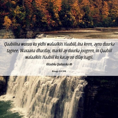 Picture 06 - Bilowgii 4:8 SOM - Qaabiilna wuxuu ku yidhi walaalkiis Haabiil, Ina - Bible Verse Picture