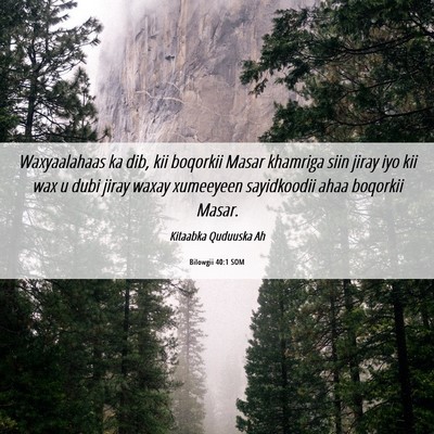 Picture 06 - Bilowgii 40:1 SOM - Waxyaalahaas ka dib, kii boqorkii Masar khamriga - Bible Verse Picture