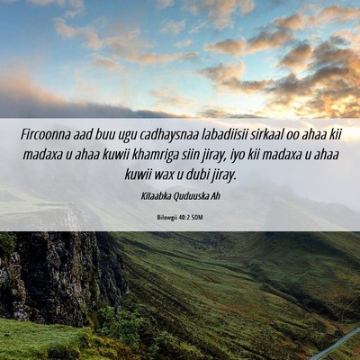Picture 06 - Bilowgii 40:2 SOM - Fircoonna aad buu ugu cadhaysnaa labadiisii - Bible Verse Picture