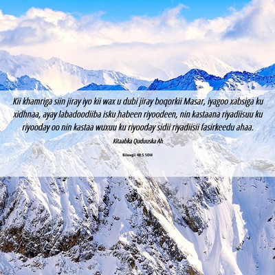 Picture 06 - Bilowgii 40:5 SOM - Kii khamriga siin jiray iyo kii wax u dubi jiray - Bible Verse Picture