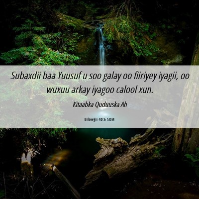 Picture 06 - Bilowgii 40:6 SOM - Subaxdii baa Yuusuf u soo galay oo fiiriyey - Bible Verse Picture