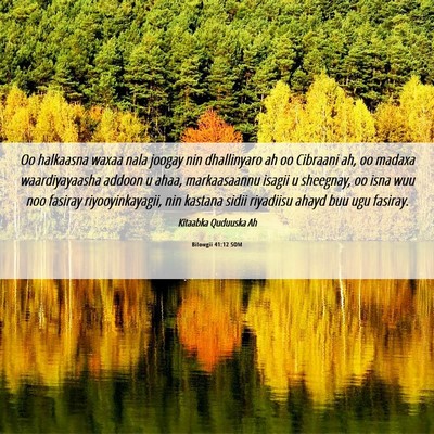 Picture 06 - Bilowgii 41:12 SOM - Oo halkaasna waxaa nala joogay nin dhallinyaro ah - Bible Verse Picture
