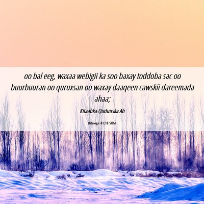 Picture 06 - Bilowgii 41:18 SOM - oo bal eeg, waxaa webigii ka soo baxay toddoba - Bible Verse Picture